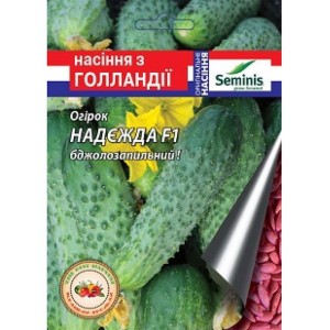 Огірок Надєжда F1 15 шт.Seminis (Голландія)