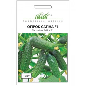 Огірок Сатина F1 10 шт.Nunhems Zaden (Голландія)