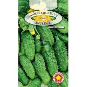 Огірок Анулька F1 (інкрустований) середньоранній 5г (Польша)