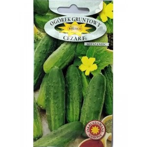 Огірок Цезарь F1 (інкрустований) середньораній 5г (Польша)