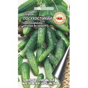 Огірок Посухостійкий 4г Середньораній
