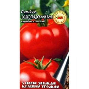 Помідор Волгоградський Рожевий 1г. середньостиглий 5/95