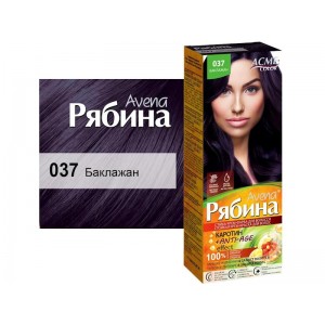 Фарба  AVENA 037 баклажан
