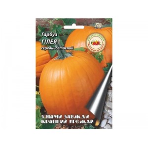 Гарбуз Гілея 10 г.Середньостиглий