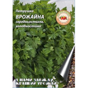 Петрушка Врожайна 20 г.Середньостигла холодностійка