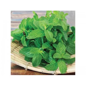 М'ята Золотий ювілей 0,1 г