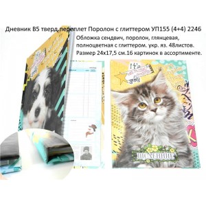 Щоденник В5 тверд.обклад. ПОРОЛОН (4+4) (ДІВЧИНКА)