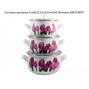 Н-р кастр.емал. (3шт) (1,1/1,6/2,3л) Квіти  671DG-0042 колорит
